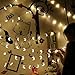 MyBuddy Moon String Lights,Outdoor LED String Lights 10FT Set of 20 LED for Wedding Garden Decoration,Party Festival Lights, Christmas Thanksgiving Decor