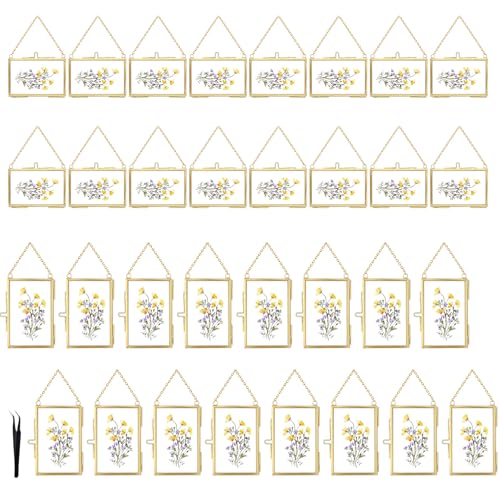 Cadres en verre double pour fleurs pressées : lot de 32 transparents - 2