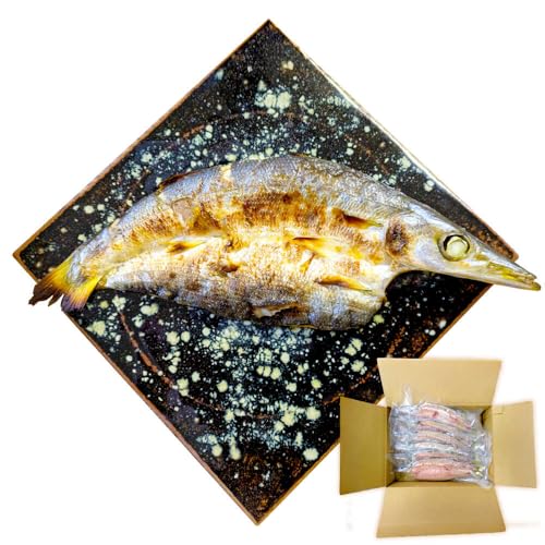 特大アカカマスの開き 干物 計600g(3〜4枚) JAQ036[通常納期1週間]