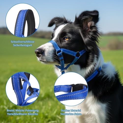 Robustes Anti-Zug-Hundeleine Set – Blaues Hundehalsband für Große Hunde, Langlebiges Trainingszubehör mit Einfacher Anpassung, Leicht & Gepolstert
