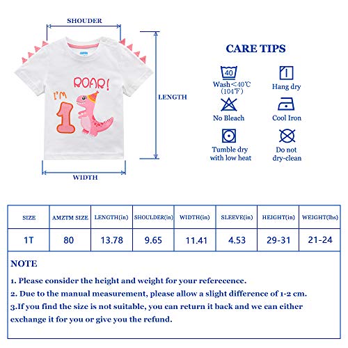 1St Birthday Girl T-Shirt Dinosaur Party B-Day Themed Tee Gift For Baby Dino First Birthday T Shirt Cotton Short Sleeve T-Rex Printed Embroidery Graphic Top Clothes (White, 1T) #TOP6
