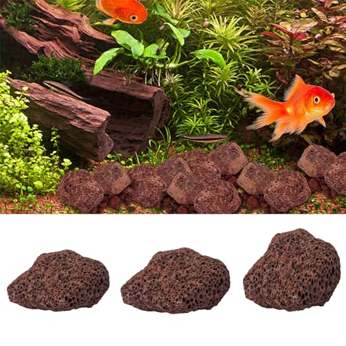 Lavastein Kassel Die 15 besten Produkte im Vergleich Aquaristik