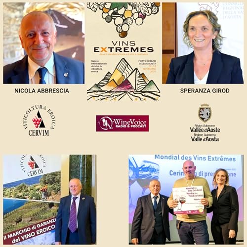 Le Terre del Vino: VINS EXTREMES - CERVIM e Regione V.d'Aosta, le Persone al primo posto! copertina