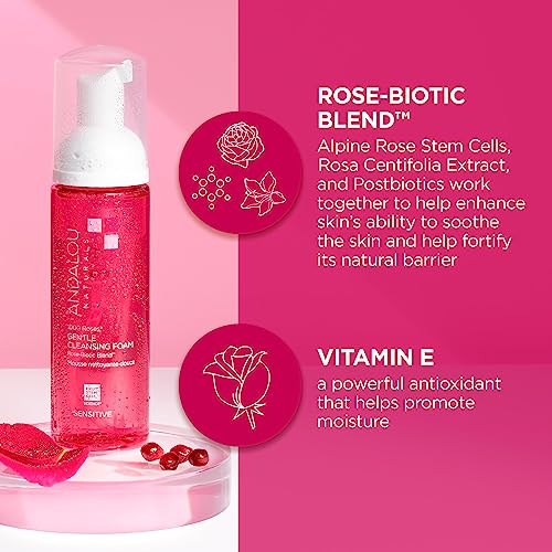 Andalou Naturals Face Wash, 1000 Roses Gentle Cleansing Foam, Sensitive Skin Facial Cleanser With Hydrating Vitamin E & Rose-Biotic Blend, Removes Makeup, Oil & Impurities, 5.5 Fl Oz #TOP3