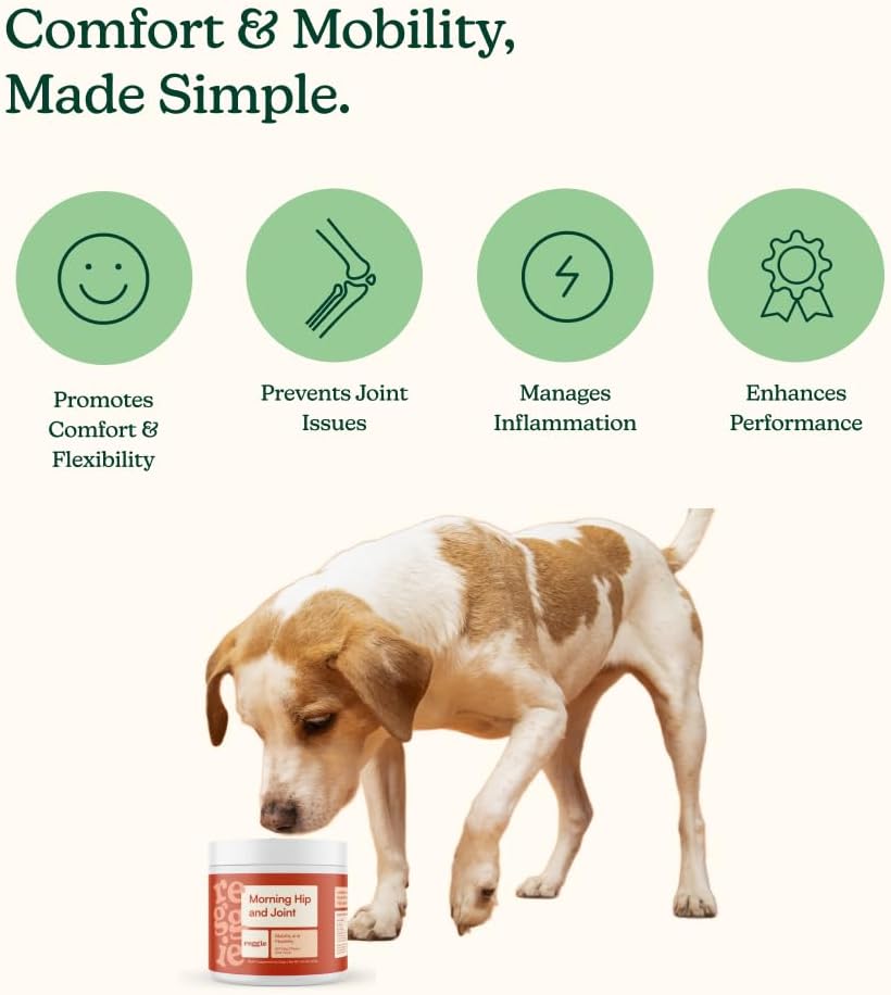 Reggie Hip & Joint Supplements for Dogs | Glucosamine, MSM & Chondroitin for Mobility, Cartilage & Pain Relief | Natural Dog Joint Support Chews | Vet-Approved & Made in USA | 60 Soft Chews
