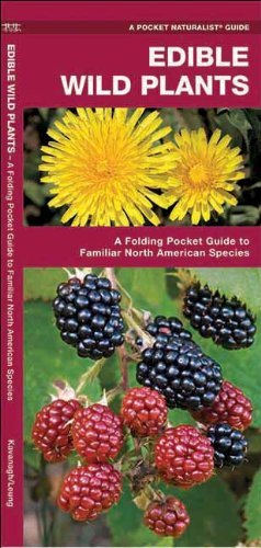 By James Kavanagh - Edible Wild Plants: A Folding Pocket