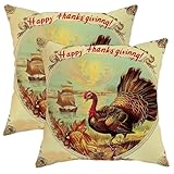 Thanksgiving Pillow Covers Set of 2,Vintage Turkey Harvest Decorative Square Farmhouse Sofa Couch Cushion Covers Home Fall Decor 18x18 Inch