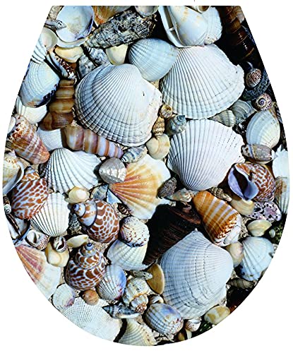'Concha' Asiento WC Pegatina Tapa Inodoro Cubrir Arte 32x38cm Cover