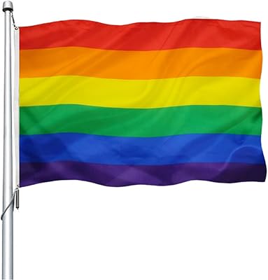 Amazon.com : LGBTQ Rainbow Pan Pride Flag for Wall -Outdoor 3x5 Sewn ...