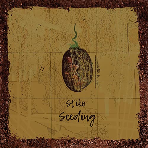 Amazon.com: Seeding : Stiko: Digital Music