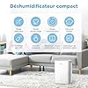 MIDEA Deshumidificateur d air Anti Moisissure 12L - Compresseur Intelligent et APP - Adsorbeur d'humidité electrique - Séchage du Linge, Capteur d'humidité Auto et anti-condensation - Idéal pour 35m²