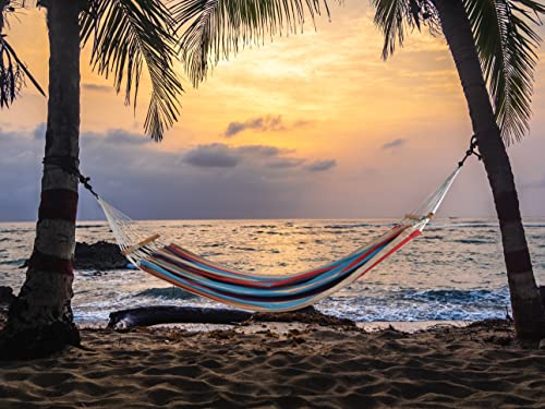 Lxoohy Outdoor Double Hammock With Travel Bag, Portable 2 Person Patio Hammock With D Rings And Tree Straps For Camping, Picnic, Backyard, Foldable And Curved Spreader Bar, Red Blue #TOP2