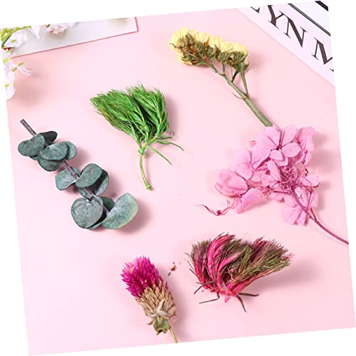 Flores secas para manualidades pack 6 cajas ABOOFAN miniatura 6