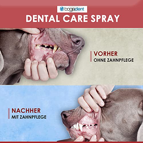Bogadent DENTAL CARE SPRAY - Dentalspray für Hunde - Spray für Hunde Zahnpflege - Zahnpflege Hund Spray gegen Zahnstein & Mundgeruch