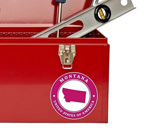 2 x 20cm/200 mm Montana USAVinile adesivo STICKER