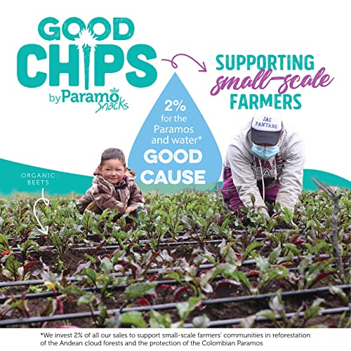 Baked Organic Beets And Yacon Chips By Good Chips! 100% Natural, Oil Free, Only Two Ingredients: Organic Beets And Yacon Root. Andean Superfood 0.7 Oz Bags, Pack Of 12 #TOP5