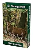  Tiere des Waldes: Quelle & Meyer Naturquartett