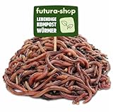 Futura-Shop Kompostwürmer lebend – 3 Arten Wurm-Mix für Wurmkiste,...
