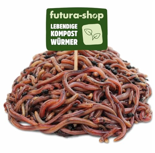 Futura-Shop Kompostwürmer lebend 3 Arten Wurm-Mix für Wurmkiste Wurmkomposter & Gartenkompost als Kompoststarter -Würmer Regenwürmer lebend (500 Stück)