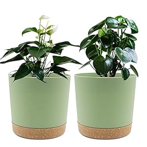 QCQHDU Bumentöpfe 2er Pack 16,5cm, Bumentöpfefür Zimmerpflanzen mit Entwässerungslöchern und abnehmbarem Boden,Untersetzer Modern Dekorativ für Garten Pflanzgefäße(Grün 16,5cm
