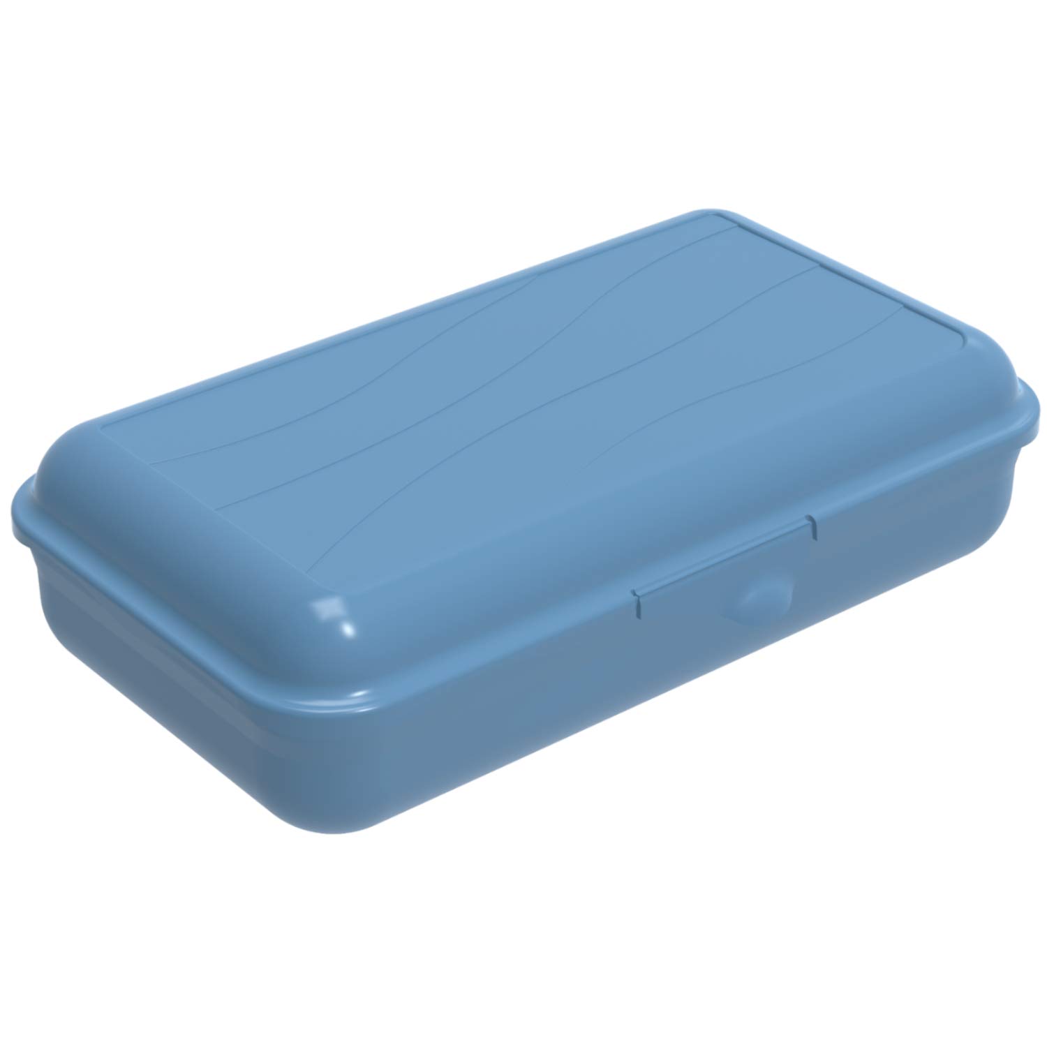 Rotho Blue Fun, Lunch Box 1.7L With Removable Partition, Plastic (Pp) Bpa L/1,7L (24,5 X 14,5 X 6,5 Cm)