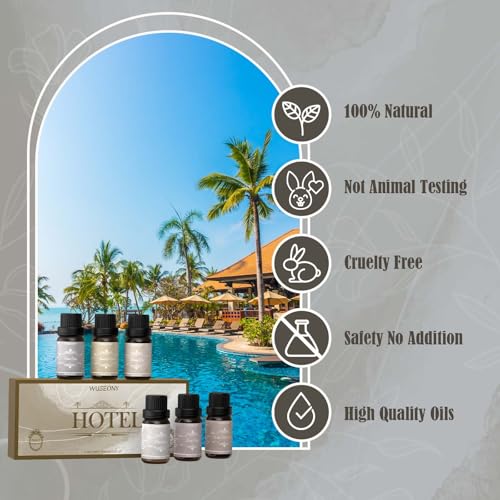 Hotel Diffuser Oils Gift Set, Aromatherapy Essential Oil Set, Luxury Hotel Scents for Diffuser for Home – White Tea & Thyme, Jasmine & Mint, Citrus Amber, Luxury Night, Dreamy Den, Urban Oasis - Image 6