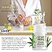 (2-Pack) Hemp Cream Pain Relief by New Age - Natural Hemp Extract Cream for Arthritis, Back Pain Muscle Pain Relief - Efficient Inflammation Cream & Carpal Tunnel Relief - Made in USA - Good for Skin