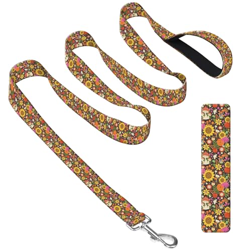 DAORJWL Dog Leash with Neoprene Handle, Dog Training Leash, 6FT Cute Durable Polyester Dog Leashes for Medium & Large Dogs Walking Boho Sunflower