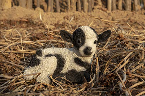 Hi-Line Gift Ltd. Small Black & White Baby Lamb Lying Down,Black; White #TOP7