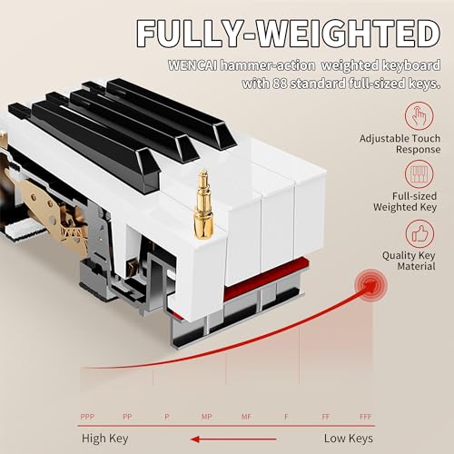 Professional 88-Key Weighted Hammer Action Digital Piano
