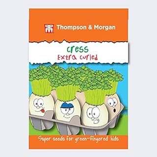 Thompson & Morgan - T&M Super Seeds for Green Fingered Kids Grow Your Own Vegetable Gardening Garden Plant - Vegetables - Cress Extra Curled