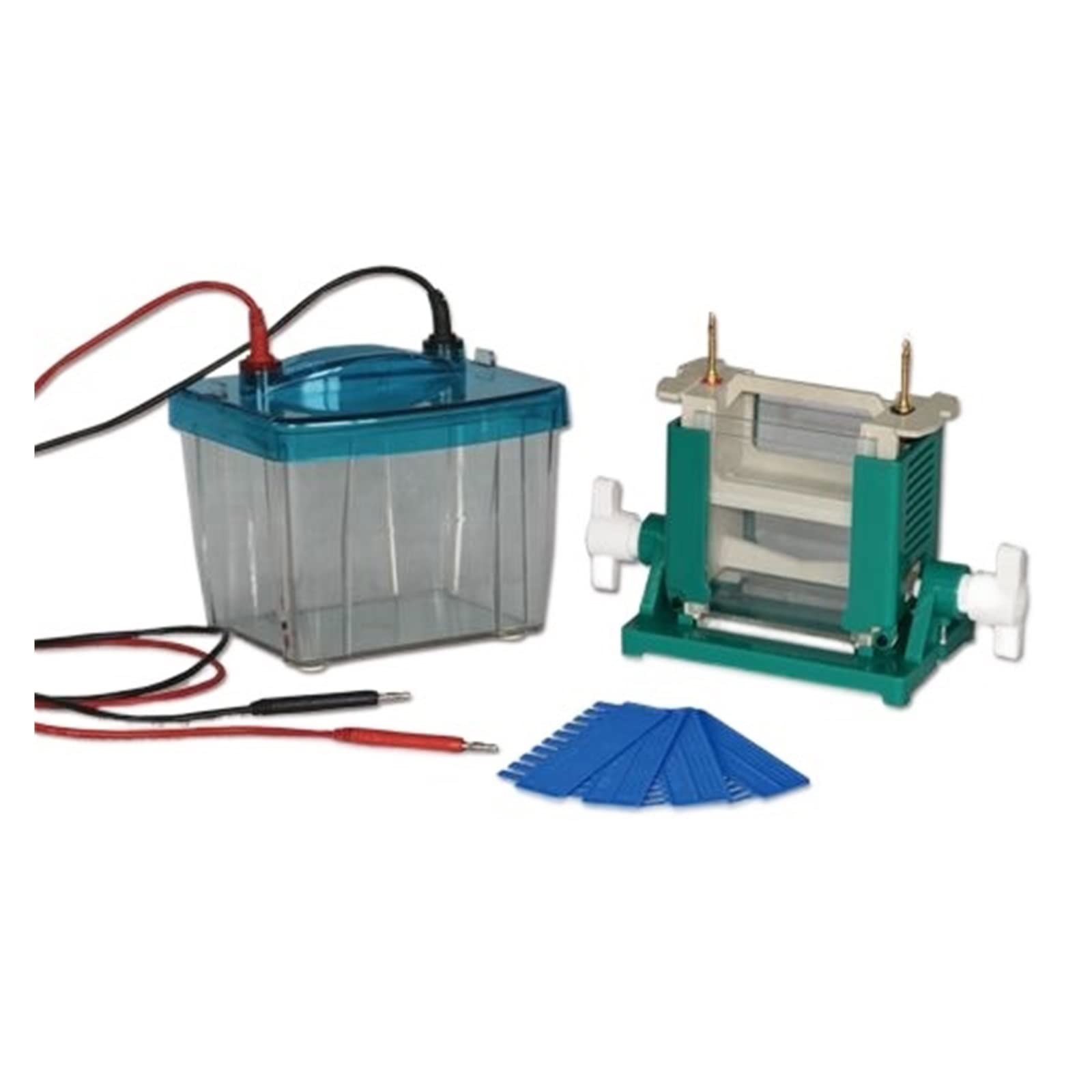 Apparecchiatura per elettroforesi, DYCZ-25D Doppio Strumento for elettroforesi Verticale Iniezione DYCZ-25D Strumento for elettroforesi su Gel proteico per aule e Piccoli Laboratori