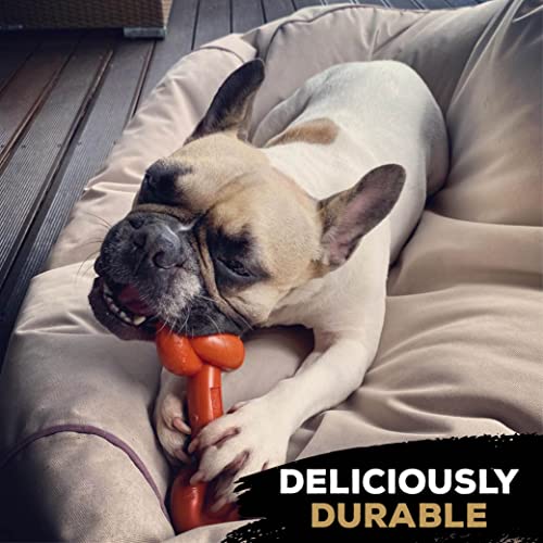 TastyBone Knotted Nylon Dog Chew Toy for Small Medium & Large Dogs (Lamb Chop) - Image 3