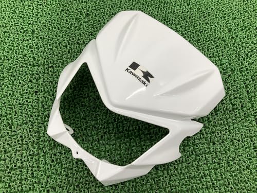 カワサキ Dトラッカー125（2013年式） カウル・ライト一式 51sdyHkUrIL.jpg