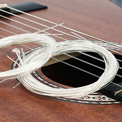 Cordes en nylon pour guitare classique – Plaqué argent - Les Beatles, Paul McCartney, John Lennon, RIngo Starr, George Harrison Cordes en nylon pour guitare classique - Plaqué argent – Image 3