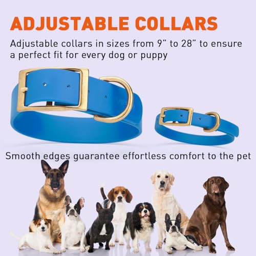 Image of Viper Biothane Heavy Duty Waterproof Dog Collar Strong Coated Nylon Webbing w /Solid Brass Hardware Odor-Proof Easy to Clean High Performance Fits Small Medium or Large Dogs, Cerulean Blue