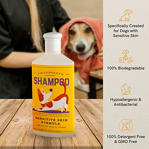 Image of J.R.LIGGETT'S Liquid Dog Shampoo for Sensitive Skin, Natural Canine Cleanser with Aloe Vera and Colloidal Oatmeal, Hypoallergenic Formula, Detergent-Free, 8.45 fl oz