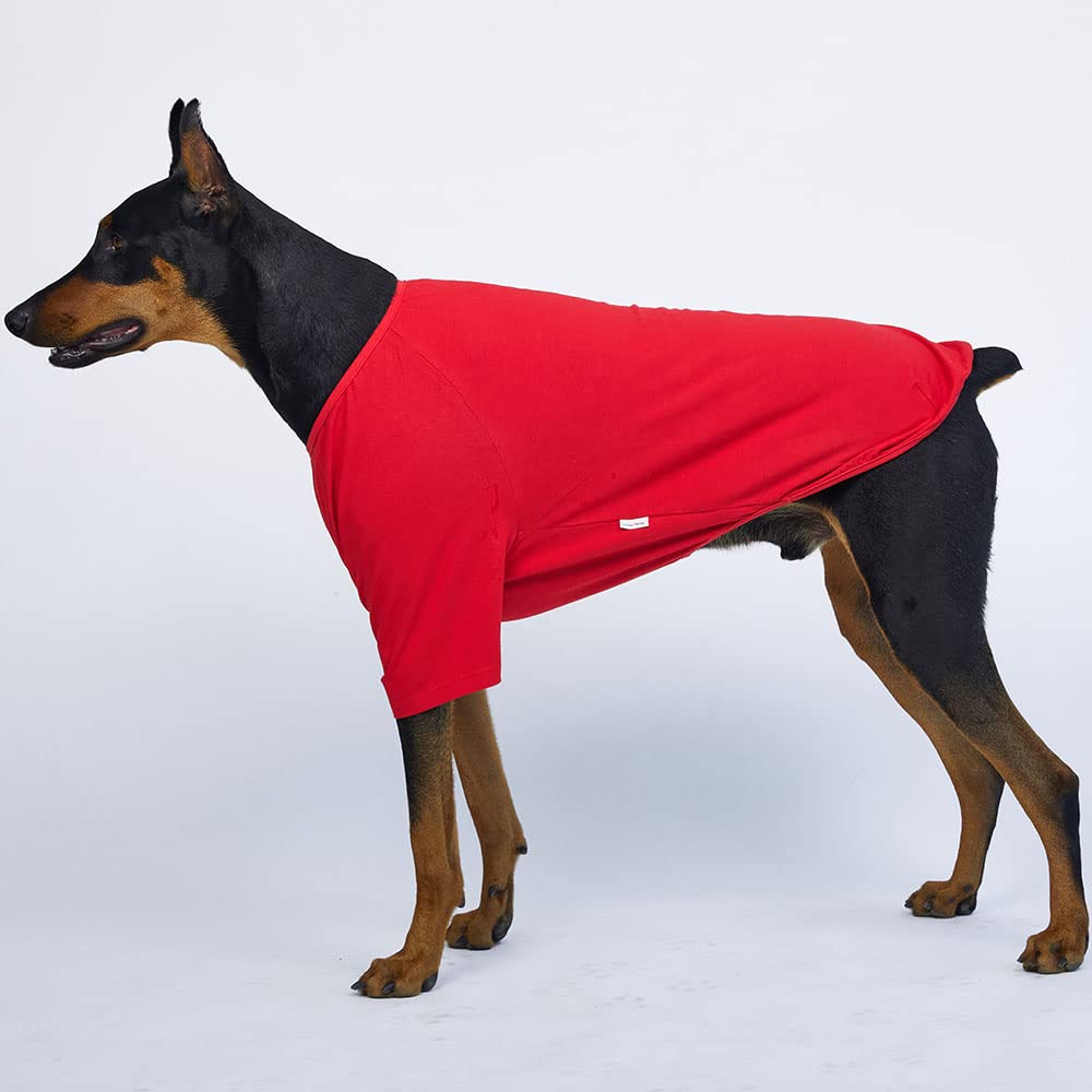 Camisa para perros pequeños, camisetas lisas, suave, transpirable, de algodón para perros, ropa para mascotas (5XL, rojo)
