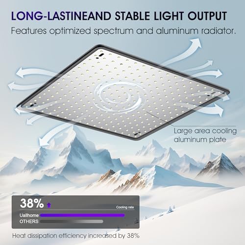 Uallhome 2-Pack 200W Panel