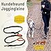 Hundefreund Joggingleine für große Hunde ab 15 kg | Elastische Freihandleine mit leichtem Bauchgurt | Abnehmbare Hundeleine mit 2 weichen Schlaufen | Orange Laufleine (120 cm, dehnbar bis 170 cm)
