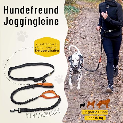 Hundefreund Joggingleine für große Hunde ab 15 kg | Elastische Freihandleine mit leichtem Bauchgurt | Abnehmbare Hundeleine mit 2 weichen Schlaufen | Orange Laufleine (120 cm, dehnbar bis 170 cm)