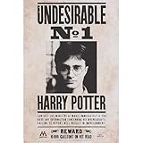 Poster Harry potter ABYSTYLE Poster Harry Potter (WANTED Harry Potter)