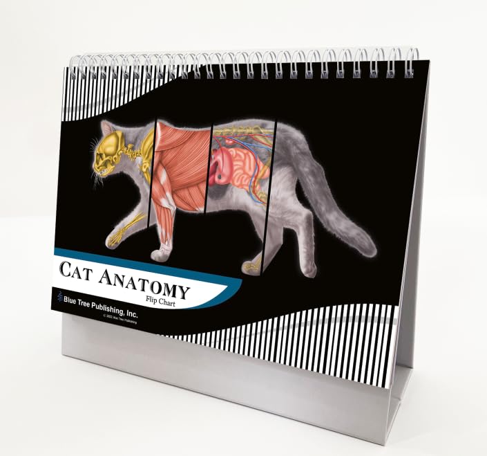 Anatomy of the Cat ほか猫解剖学関連書籍　４点セット Anatomy of the Cat ほか猫解剖学関連書籍 4点セット Anatomy of the