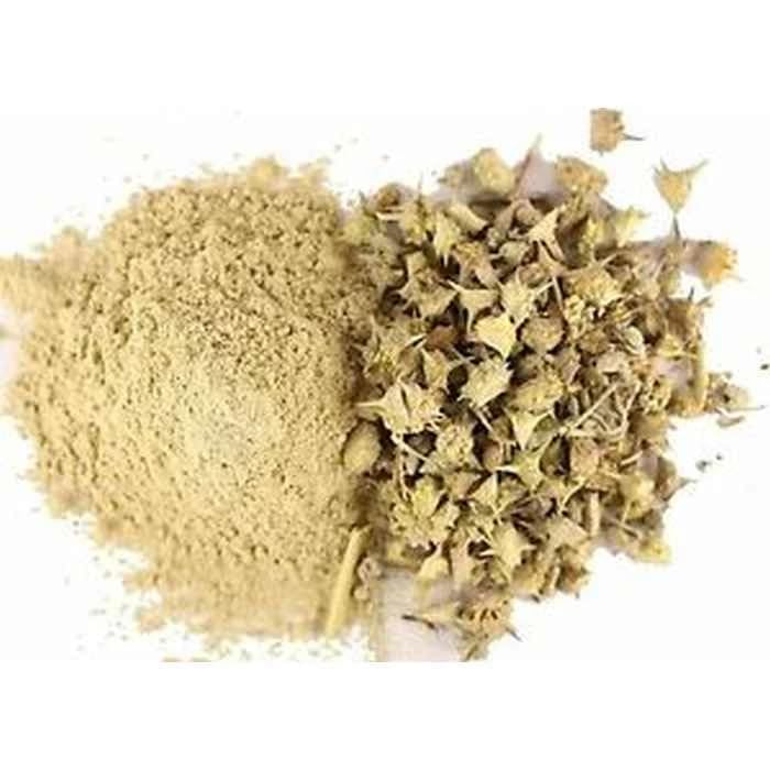 Gokhru Small/Gokshuradi/Gokhru Chota/Piccole Caltrops - 250 g
