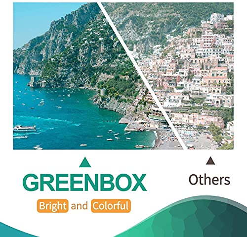 Greenbox Remanufactured 61 Black Ink Cartridge Replacement For Hp 61Xl 61 Xl For Hp Envy 4500 5530 5534 5535 Deskjet 1000 1056 1010 1510 1512 2540 3050 3050A Officejet 2620 Printer (2 Black) #TOP4