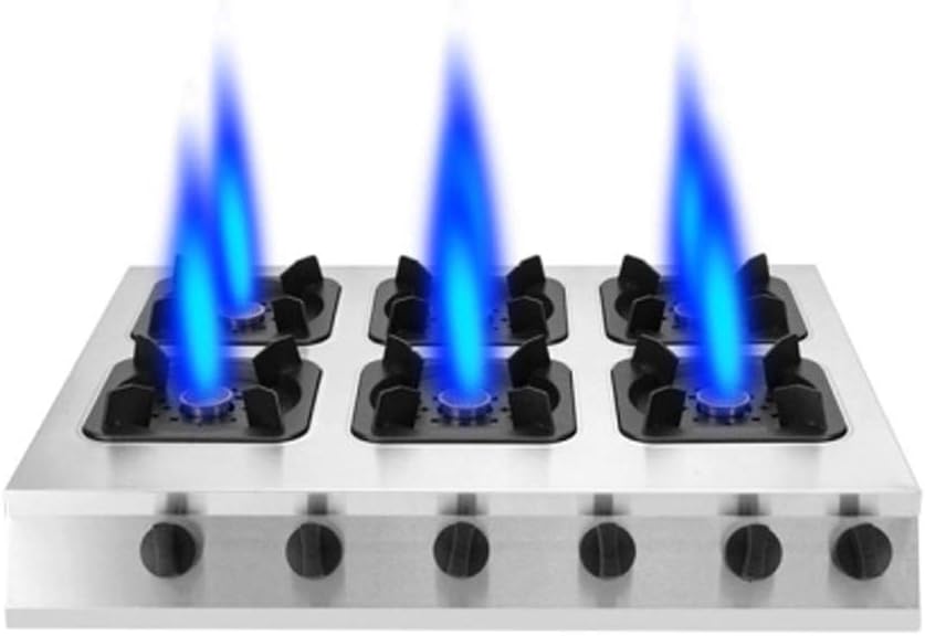 Commercial Stainless Steel Pot Stove, 3/4/6/8 Gas Range, Energy Saving Liquefied Gas/Natural Gas Stove(Natural Gas 6 heads) (Natural Gas 6 heads)