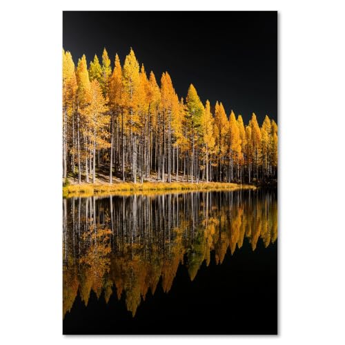 Cuadro de paisaje otoñal BOSKMS, el regalo original para decorar oficinas y hogares