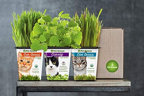 Fresh Cat Grass/Catnip Combo Delivery- Pet Grass Whisker Greens and Whisker Nip Come Grown and Fresh to Your Door!
