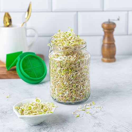 Image of sprout-me Multi Use Sprouts Maker Box With Recipe Book - Glass Mason Jar with Mesh Lid for All Seeds & Beans, Sprouts Making Box with Built in Drainage Stand (One Sprout Jar With Book - (Green))