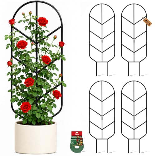 Image of Plant Trellis for Potted Plants, Trellis for Climbing Plants